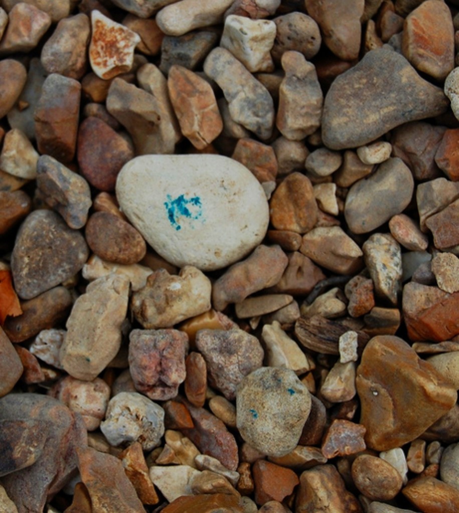 Staycation Scavenger Hunt Ideas | River Pebbles http://SeeLaurieWrite.com