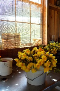 Year in Review: 2014 Words