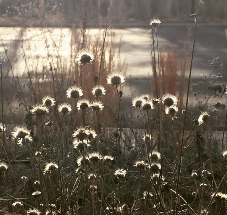 Women, We Can Do Better | SeeLaurieWrite.com