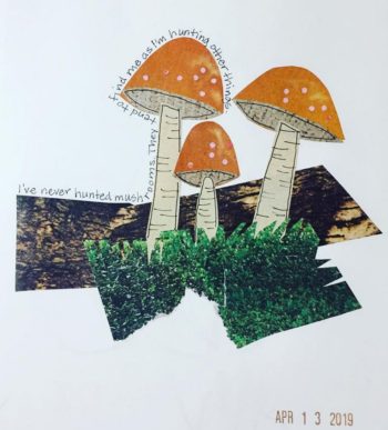 Never Hunted Mushrooms Collage