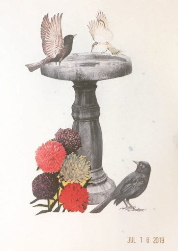 image of paper collage using found images of birds, flowers and a concrete birdbath