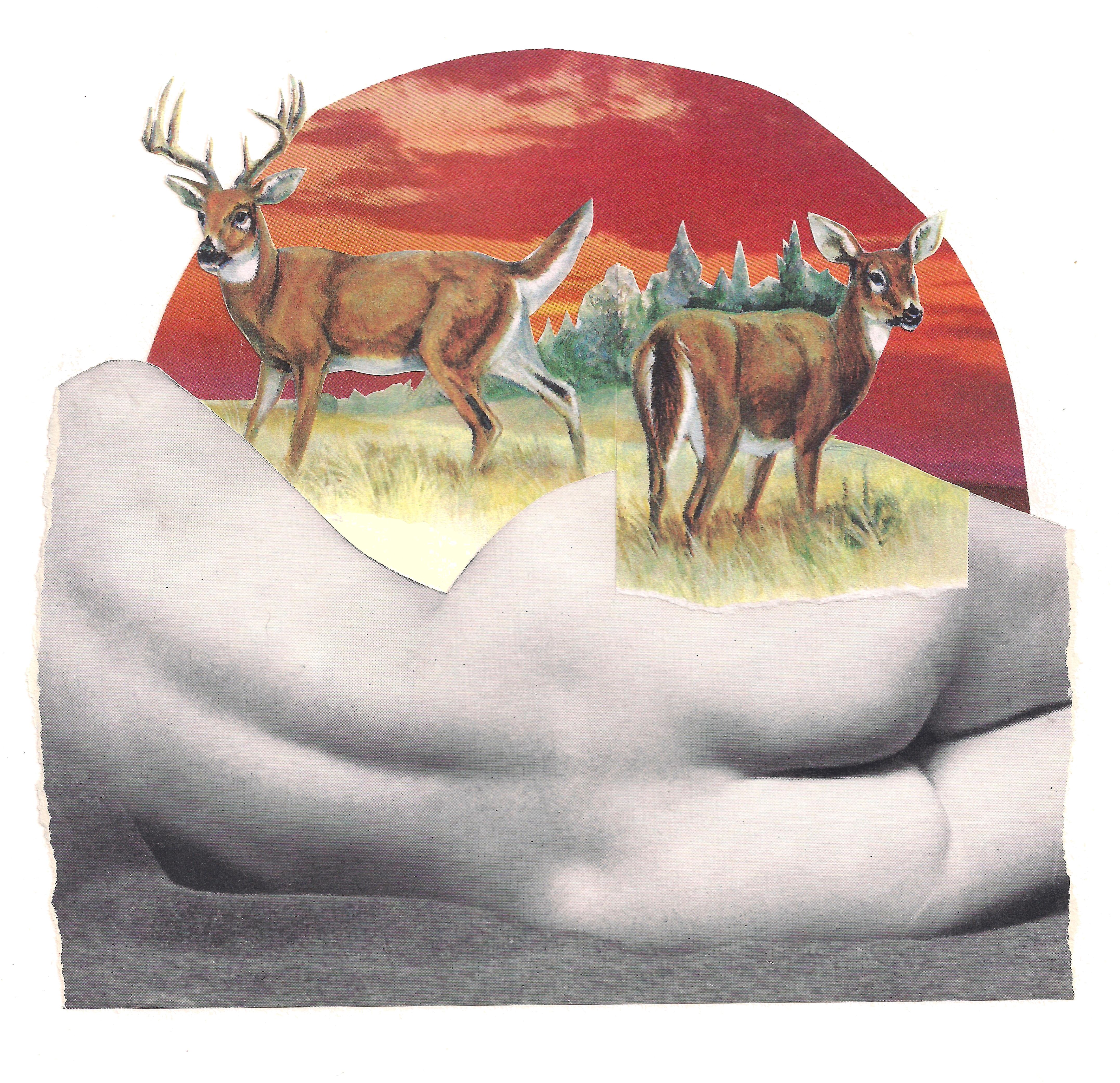 analog collage of an image of a reclining woman's nude back and buttocks, with illustrations of two white-tail deer superimposed onto a red and orange sunset