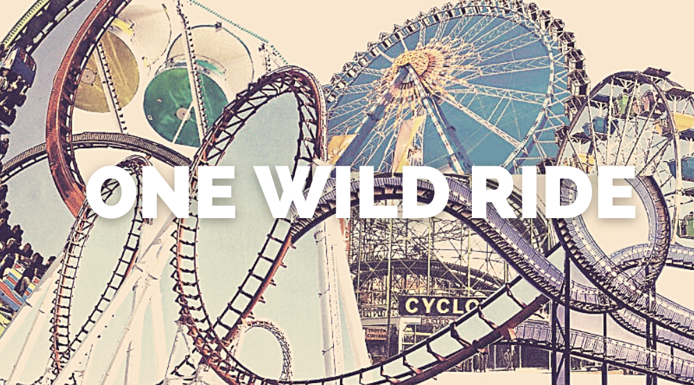 Header for One Wild Ride website.