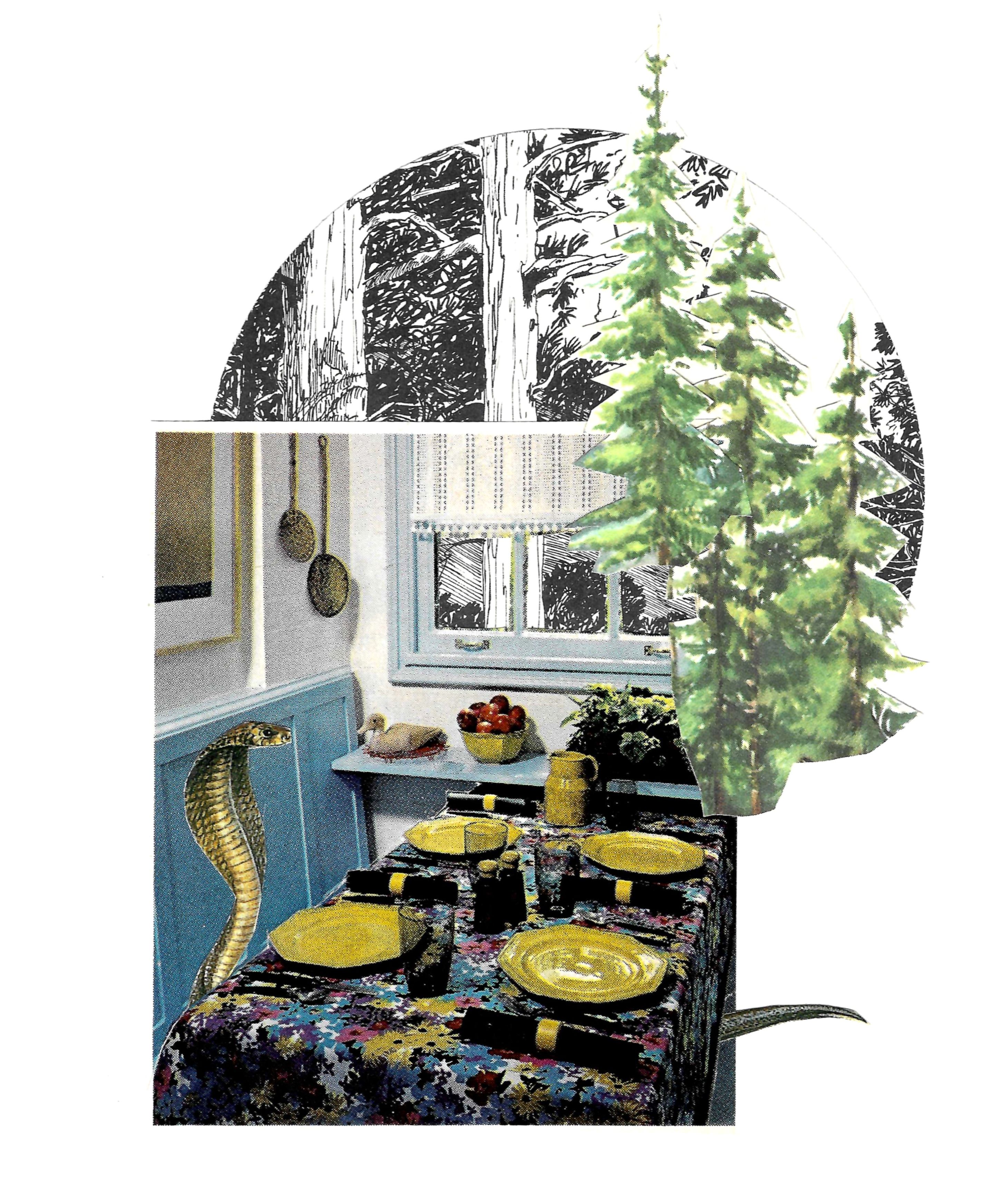 Collage of snake sitting at a dining table with background of an evergreen forest.